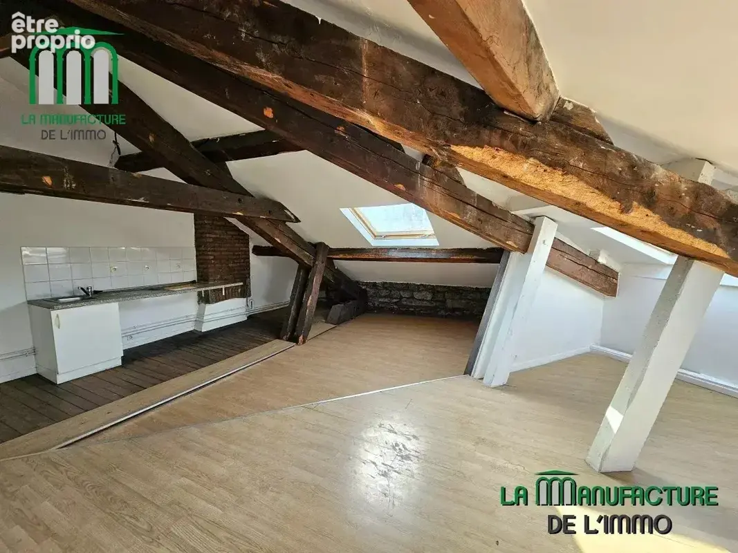 Appartement de caractère de type T3 de 53 m² Carrez et 84 m² au sol - Prox. Châteaucreux - photo 3