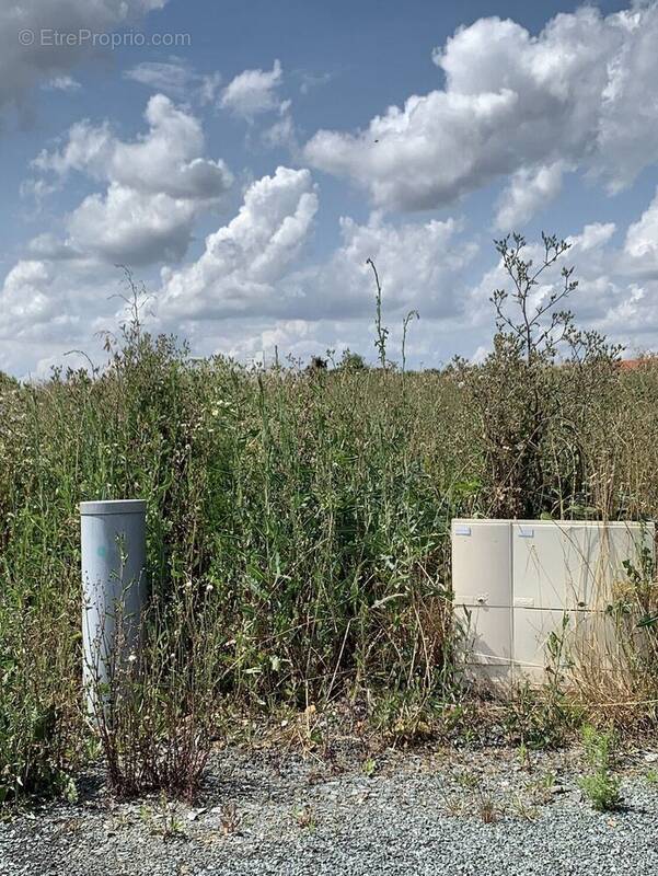 Terrain à ARTHON-EN-RETZ