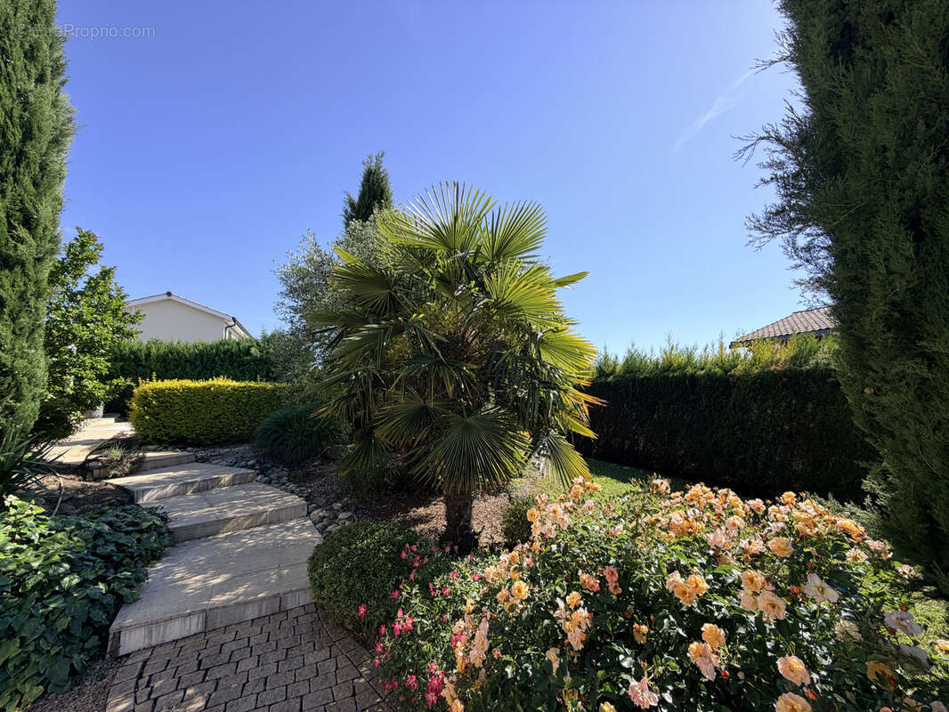 Maison à VILLEFRANCHE-SUR-SAONE