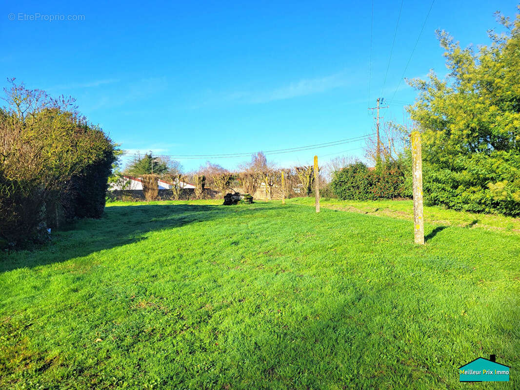 Terrain à MACHECOUL