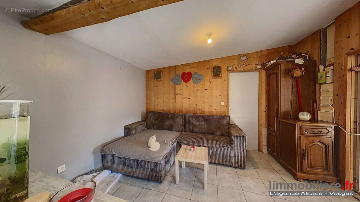 Maison 315 m² à Wisembach  - photo 7