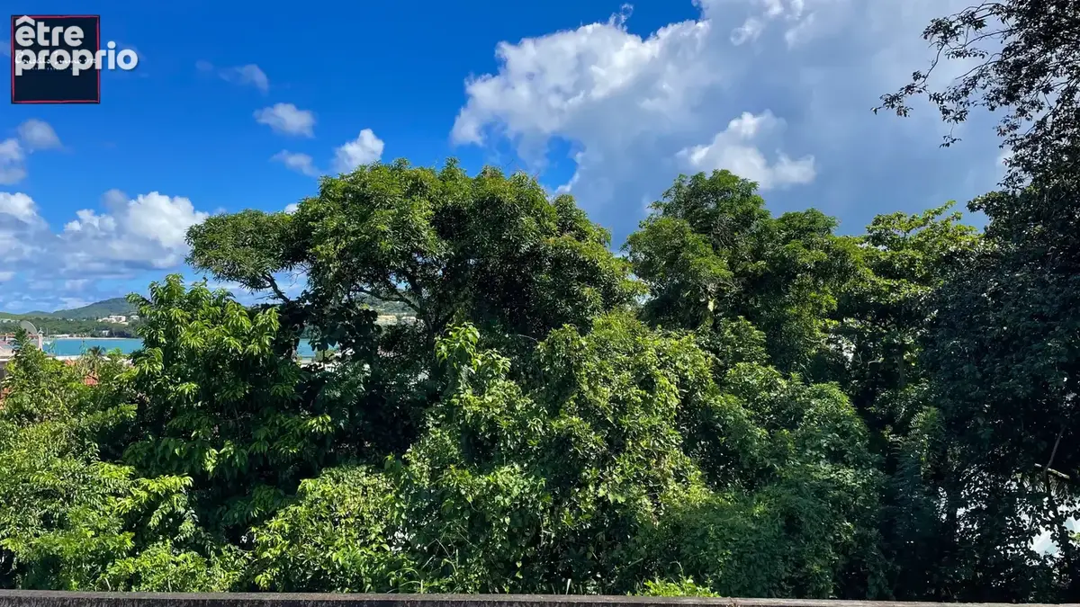 Terrain de 1 194 m2 en vente à Trinité - photo 6