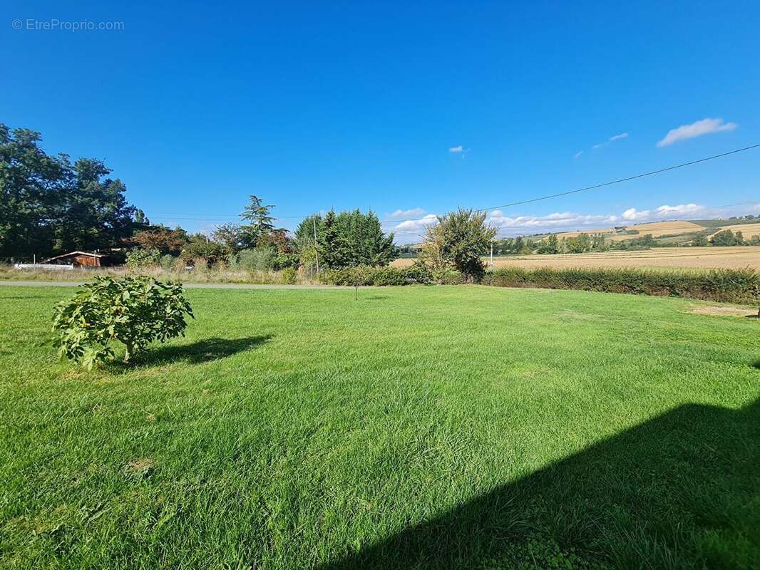 Terrain de 799m² saint sulpice sur leze - photo 7
