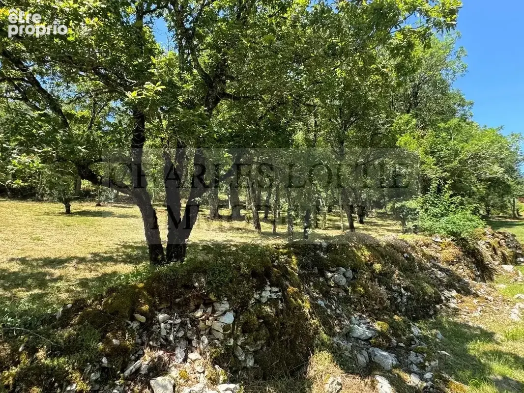 Superbe ensemble en pierre sur 2.9 ha de terrain - photo 22