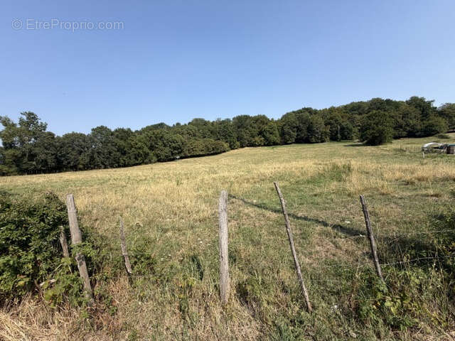 Grand terrain de 17 698 M2 avec partie constructible de 1549 M2 - photo 2