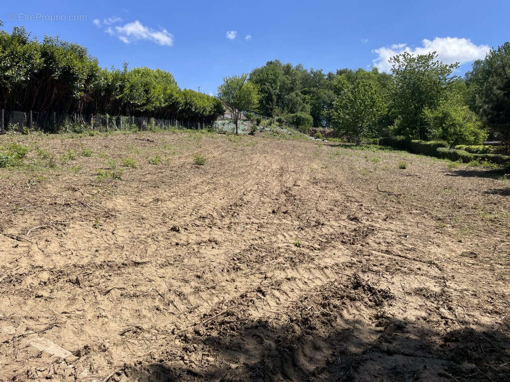 Terrain à SAINT-SORNIN-LAVOLPS