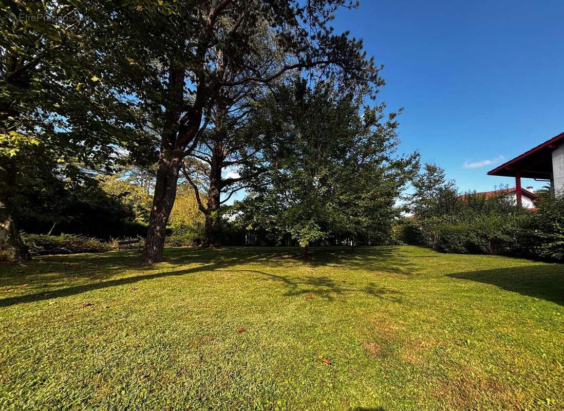 Photo 8 - Appartement à ASCAIN