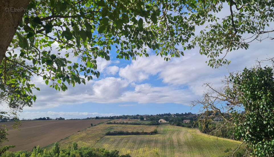 Photo 1 - Terrain à TOULOUSE