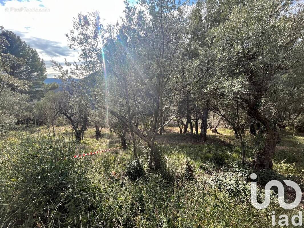 Photo 1 - Terrain à BARGEMON