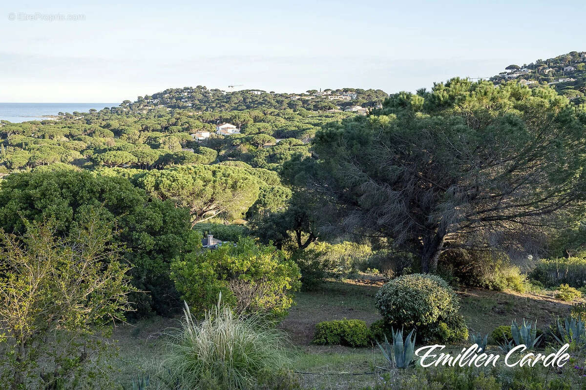 Terrain à SAINTE-MAXIME