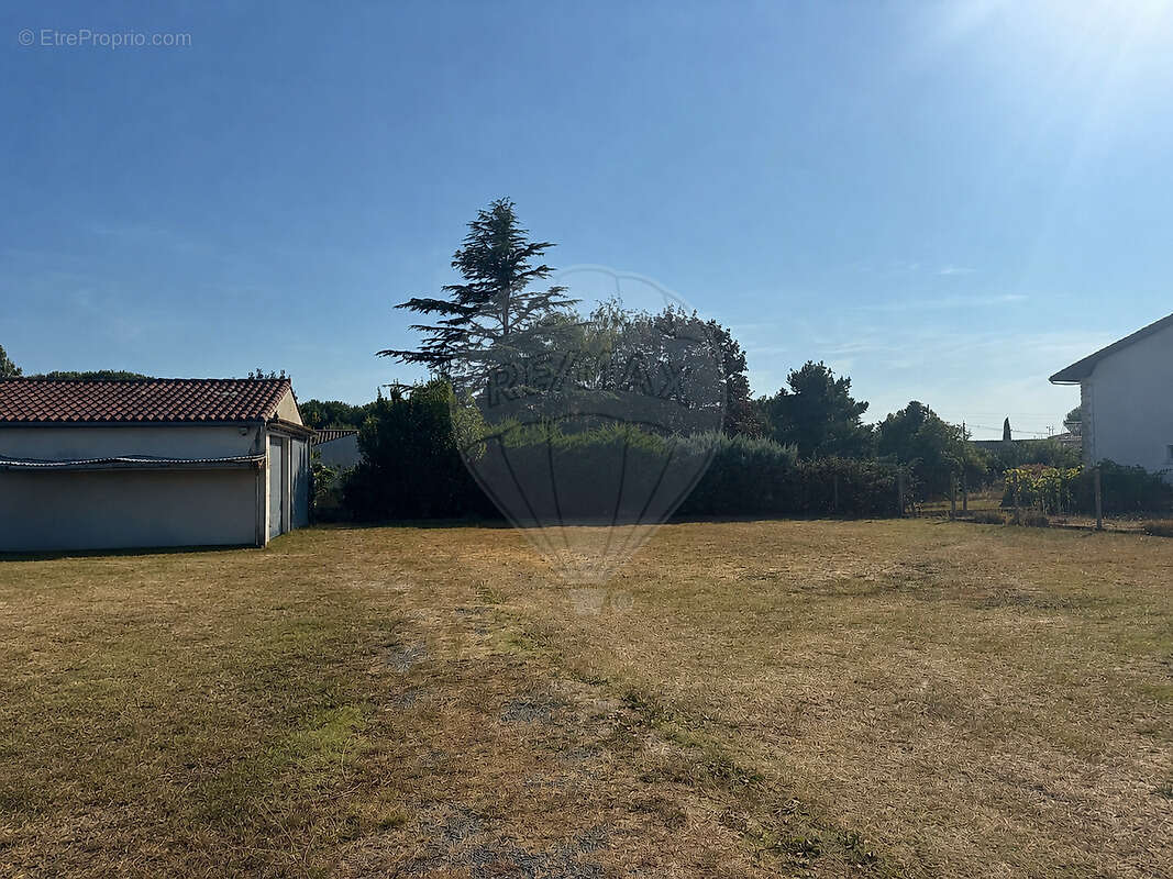 Terrain  à vendre - photo 3