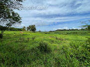 Terrain à PETIT-BOURG