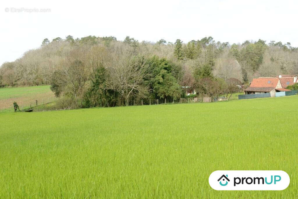 Terrain à CAMPSEGRET