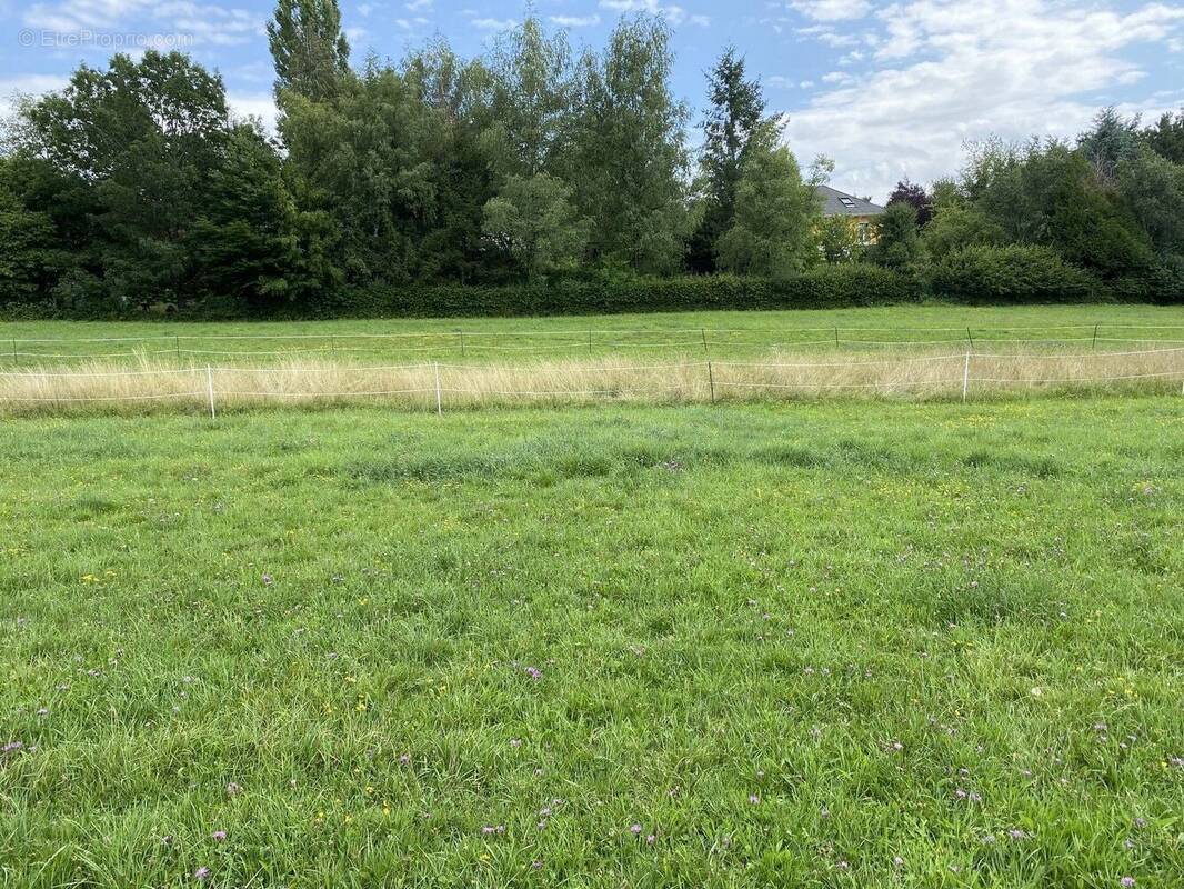 Terrain à BAVILLIERS