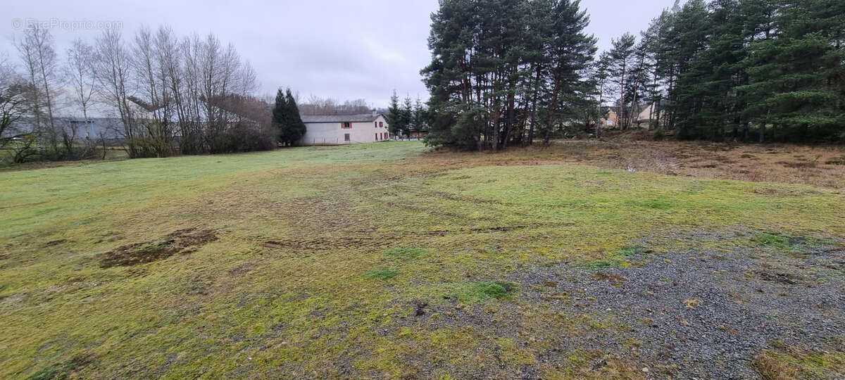 Maison à SAINTE-GENEVIEVE-SUR-ARGENCE
