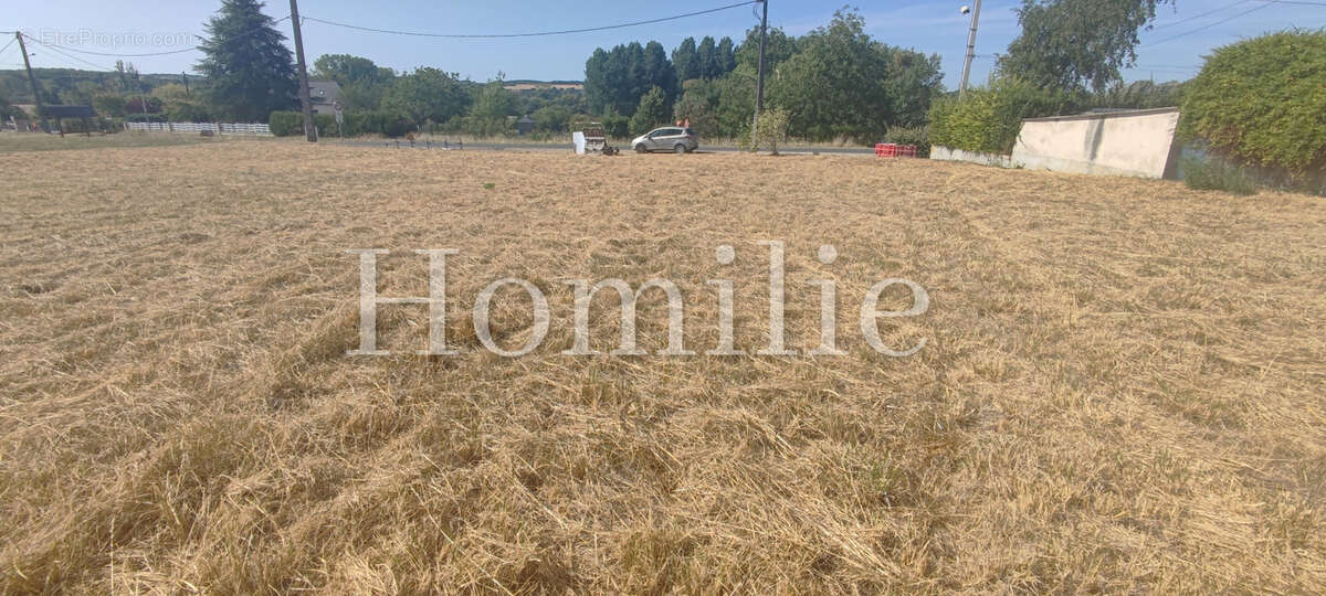 Terrain 600 m2 - la croix en touraine - photo 2