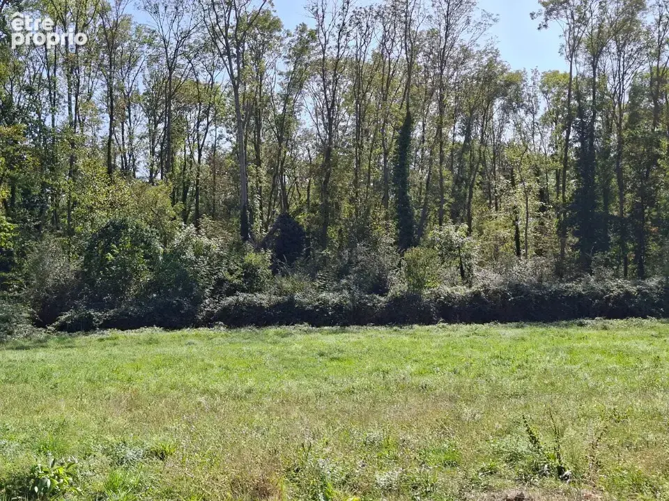 Photo Terrain à Issenheim au prix de 134 995€