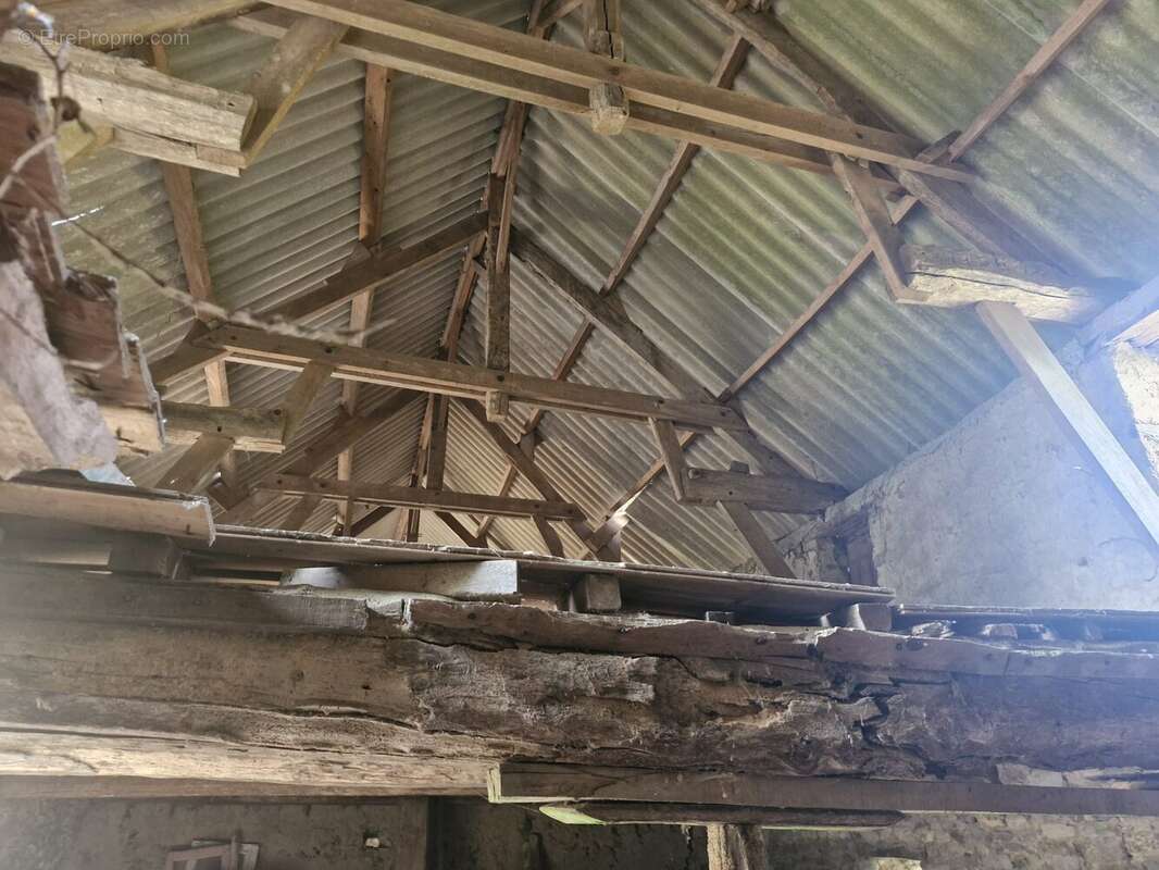 Maison 200 m² à La Rocque  - photo 6