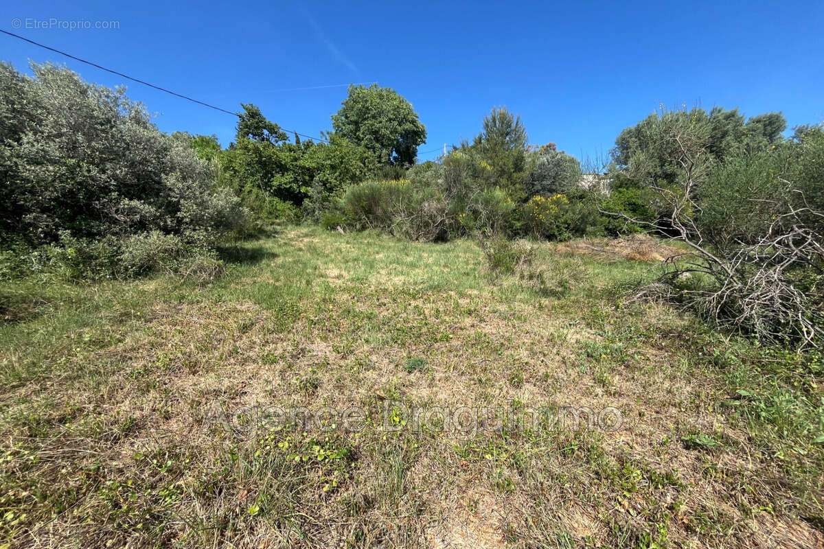 Terrain à DRAGUIGNAN