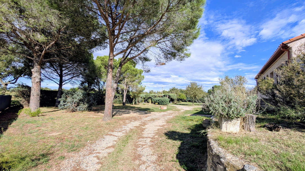 Maison à VILLELONGUE-DELS-MONTS