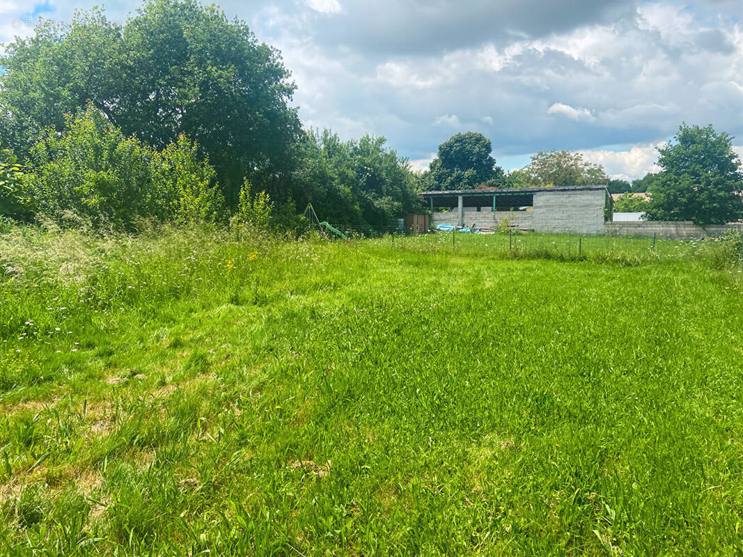 Terrain à SAINT-NAUPHARY