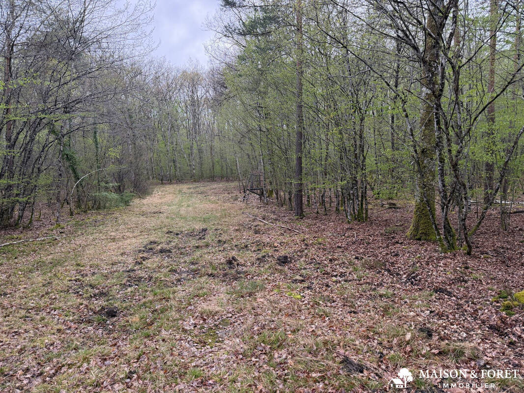 Maison à ROMORANTIN-LANTHENAY