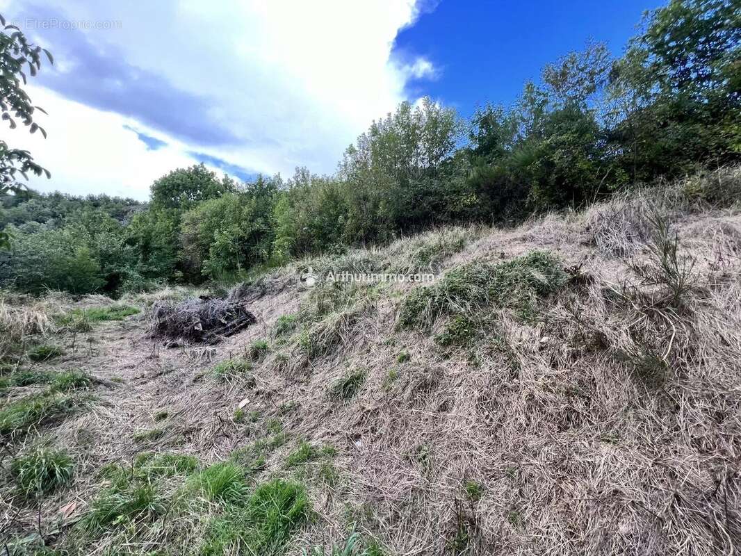 Terrain à SAINT-JEAN-DU-BRUEL