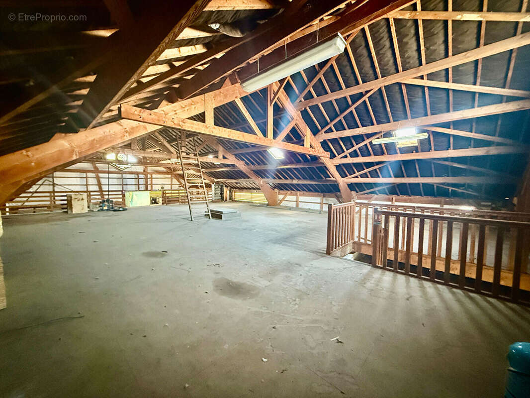 Commerce à SAINT-MALO