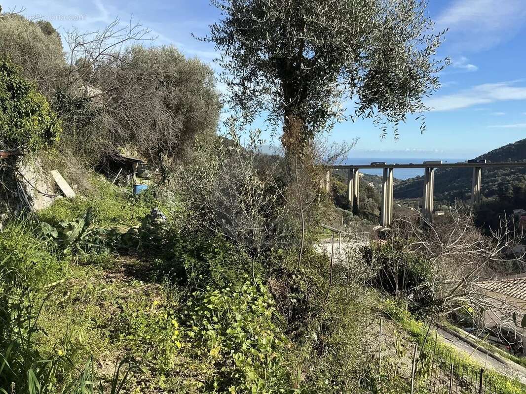 Terrain à GORBIO
