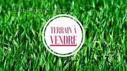 Terrain à PRESENTEVILLERS