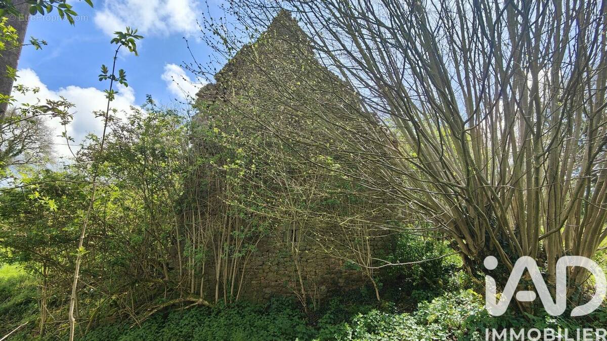 Photo 1 - Maison à SENS-DE-BRETAGNE