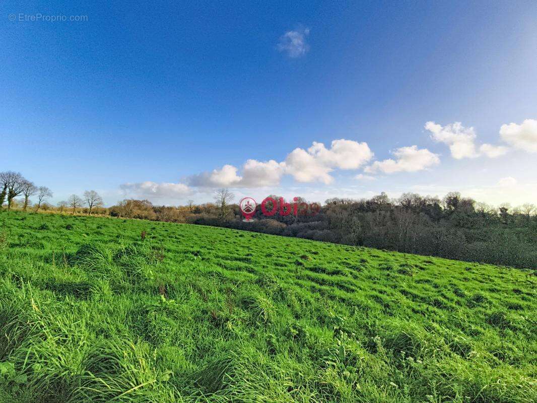 Maison à PLONEVEZ-DU-FAOU