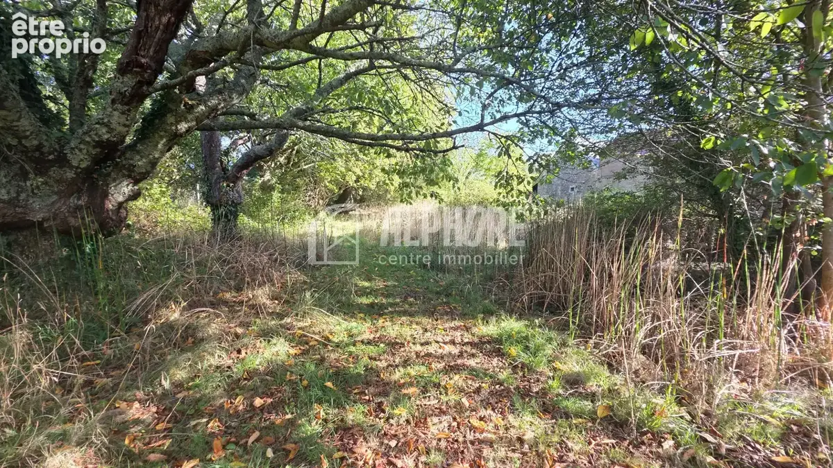 Opportunité de division - 2 maisons + 1 terrain constructible - photo 12
