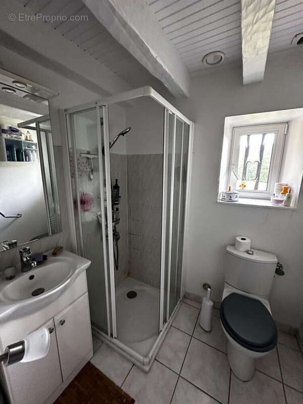 salle d'eau - Maison à PRAYSSAC