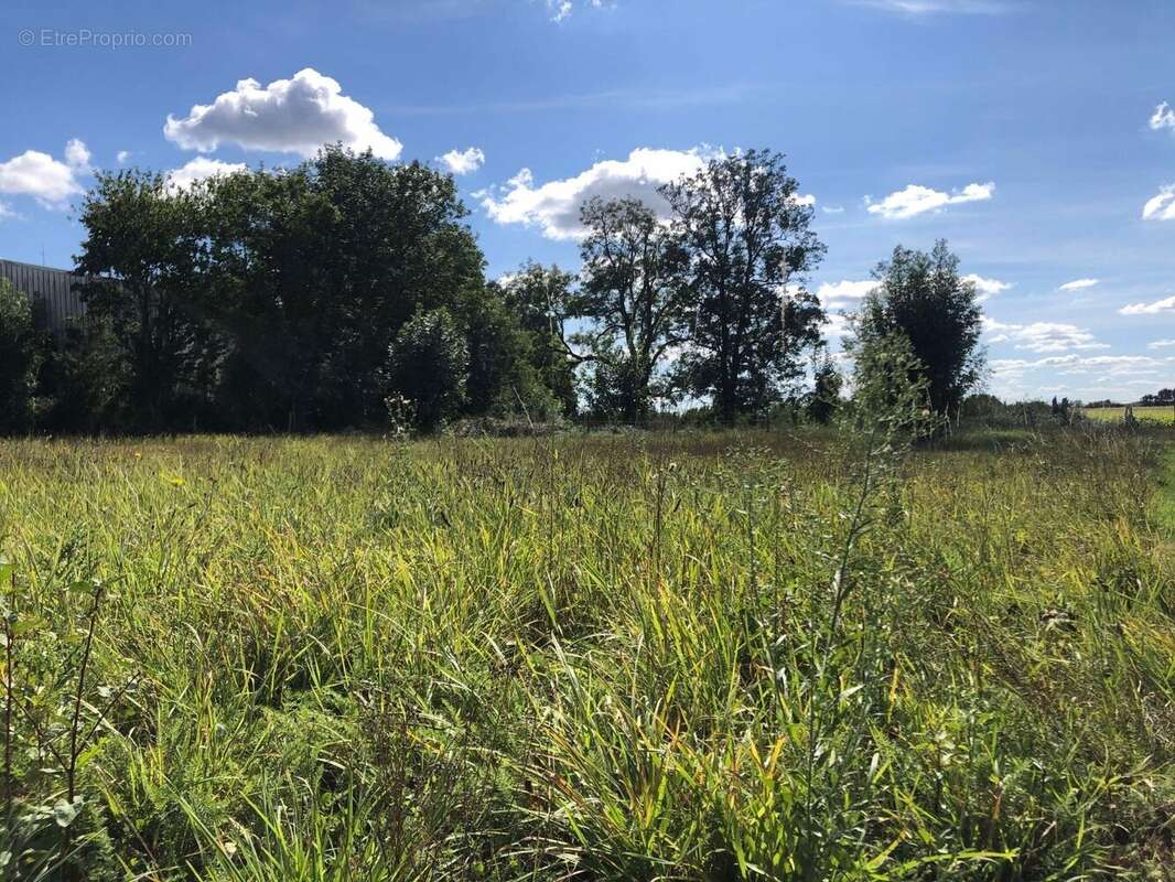 Maison à LA TOURLANDRY