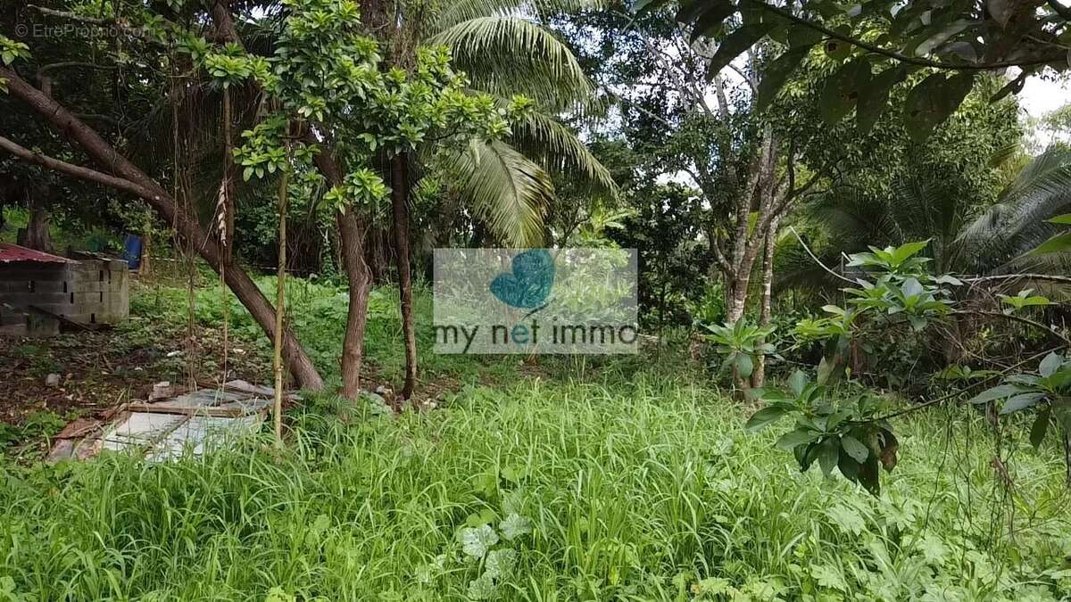 Terrain à SAINTE-ANNE