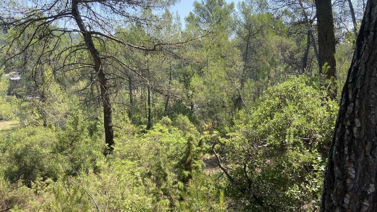 Joli terrain avec cabanon sur Tourves - photo 5
