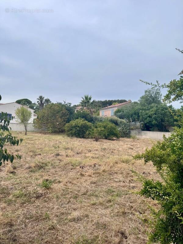 Terrain à MARSEILLE-11E