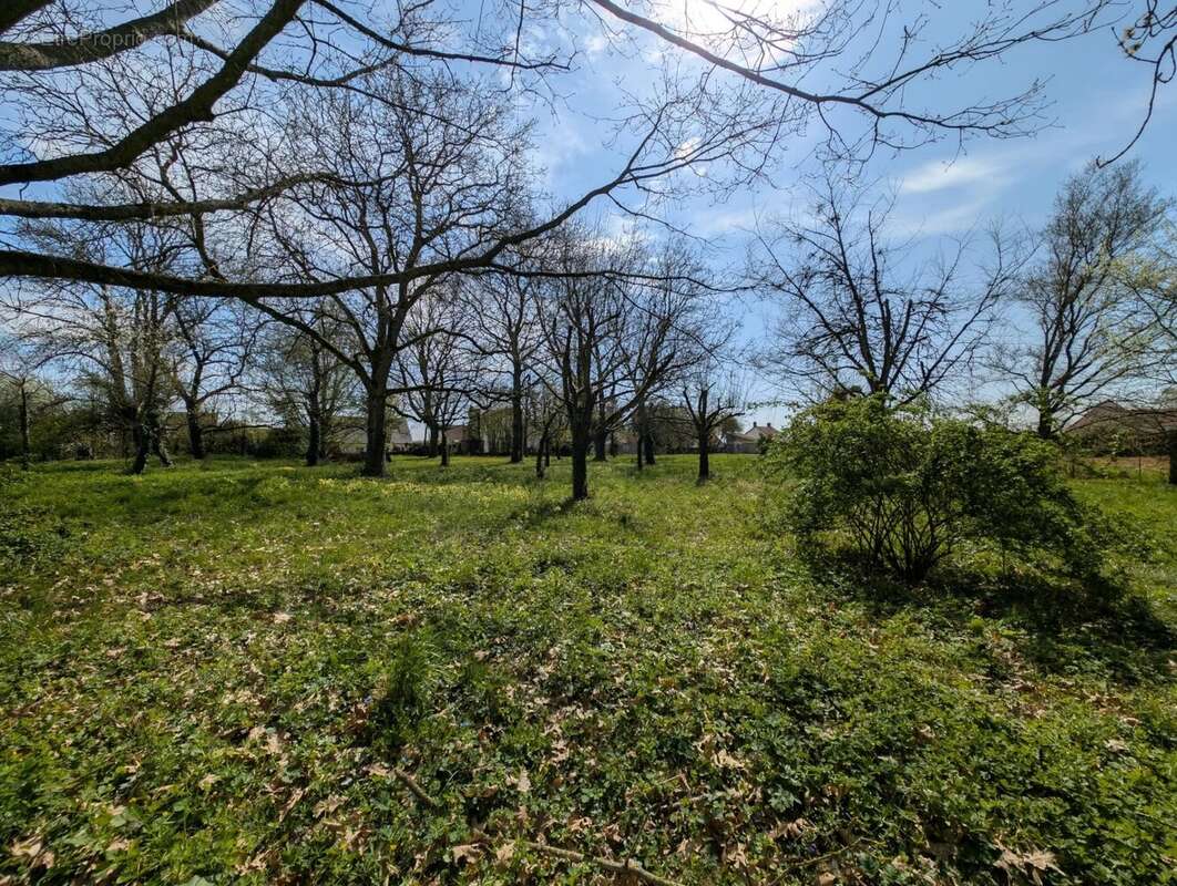 Terrain à LA FERTE-GAUCHER