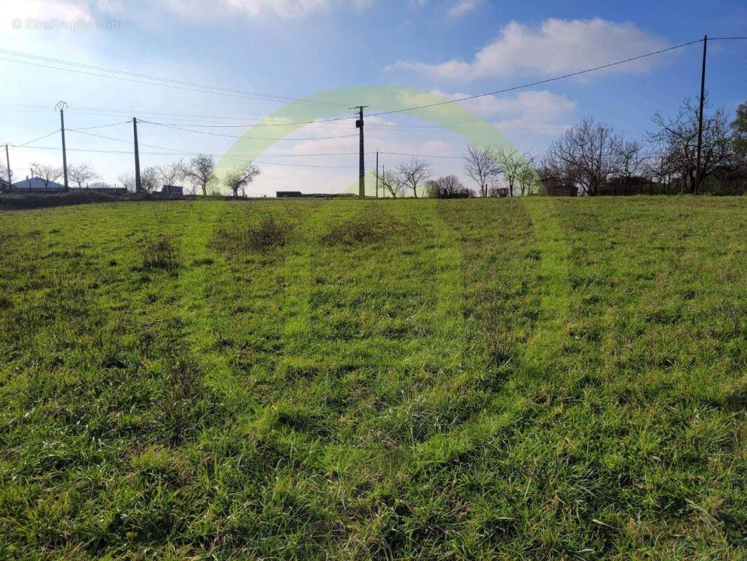 Terrain à SAINT-BONNET-SUR-GIRONDE
