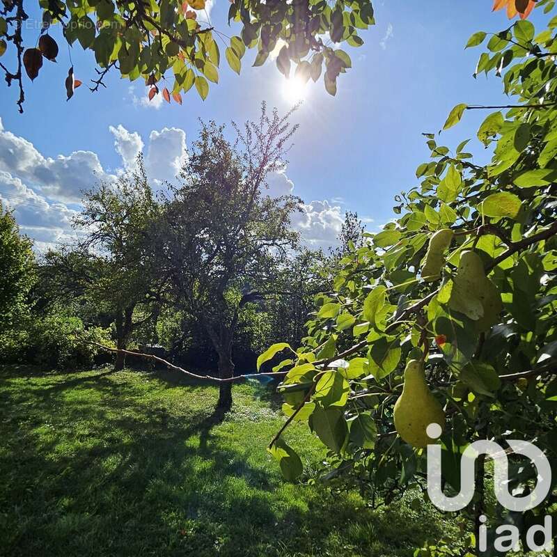 Photo 5 - Maison à NOYERS-PONT-MAUGIS
