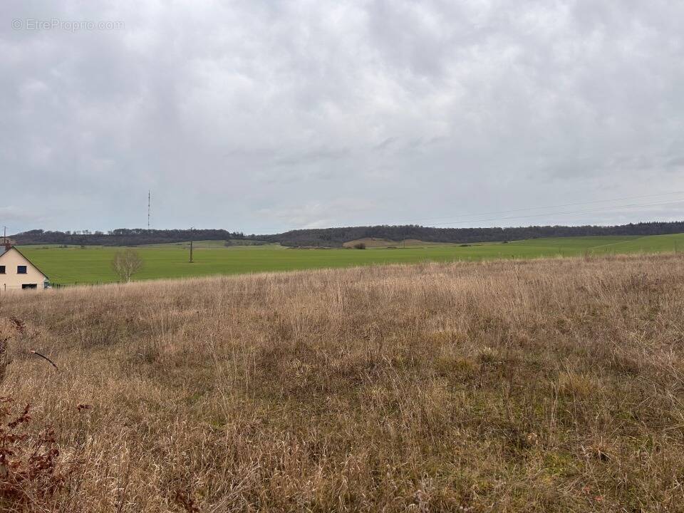 Terrain à MESNIERES-EN-BRAY