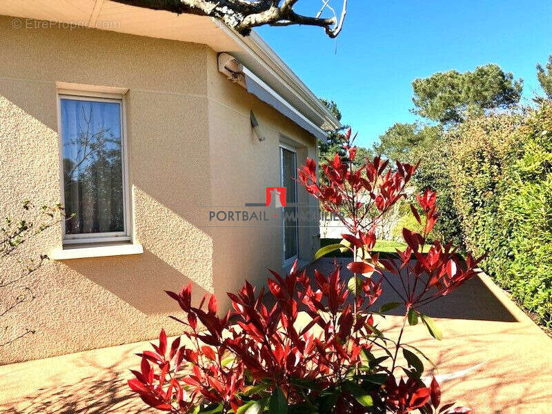 Maison à SAINT-ANDRE-DE-CUBZAC