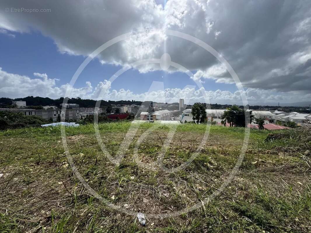 Terrain à LES ABYMES