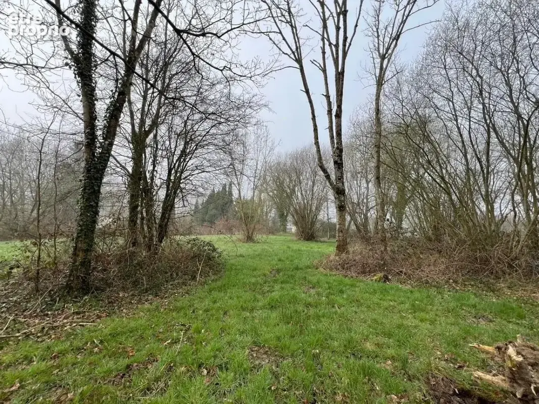 4280 m² à Courtonne-Les-Deux-Eglises  - photo 2