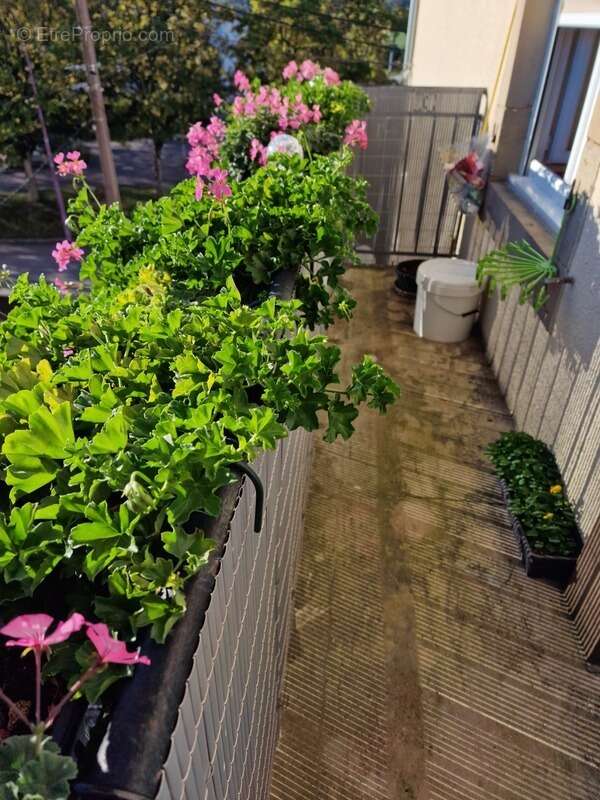 Appartement à CONTREXEVILLE