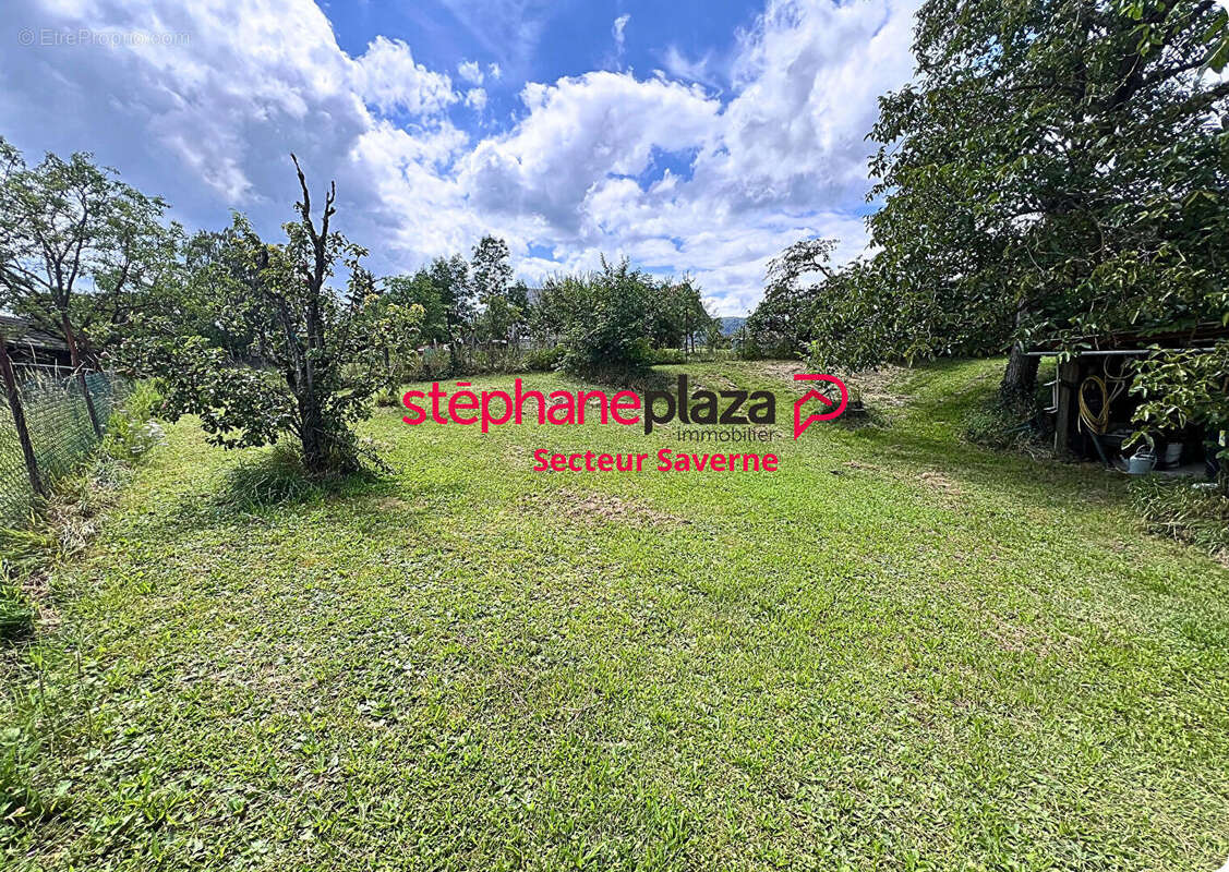 Terrain à SAVERNE