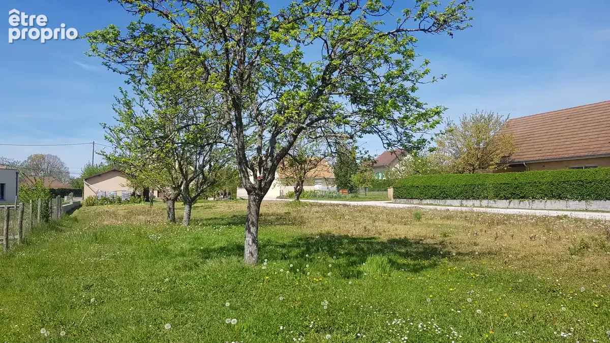 Terrain 888 m² à vendre à Gergy (71590) - photo 2