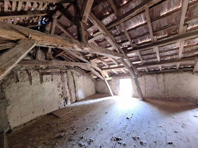 Corps de ferme à aménager avec dépendances et plus de 7 000 m² de terrain  Plaisance-du-Gers - photo 20