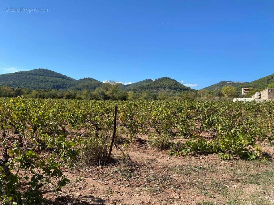 Terrain à LE CASTELLET